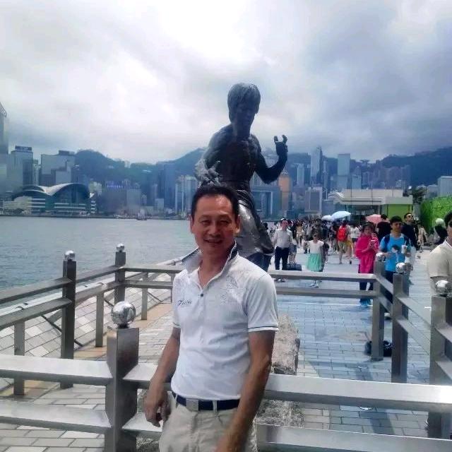 雄鹰飞翔橱窗好物