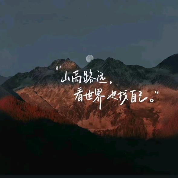 圆头圆脑李哒胖