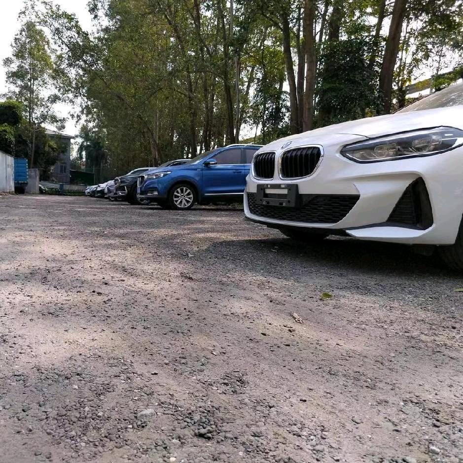 广州停车大风哥