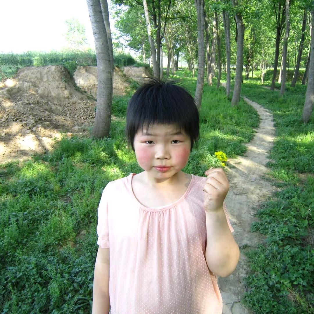 🍚大王统治世界