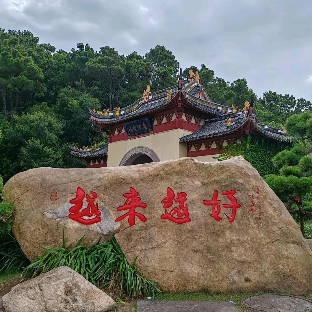 沁水白合