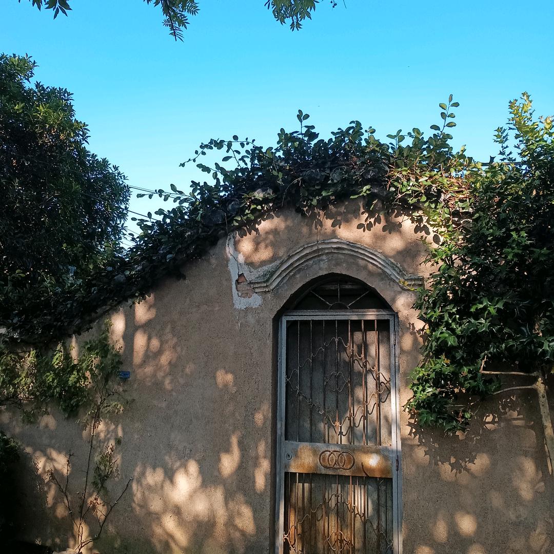 劳哥改造庭院