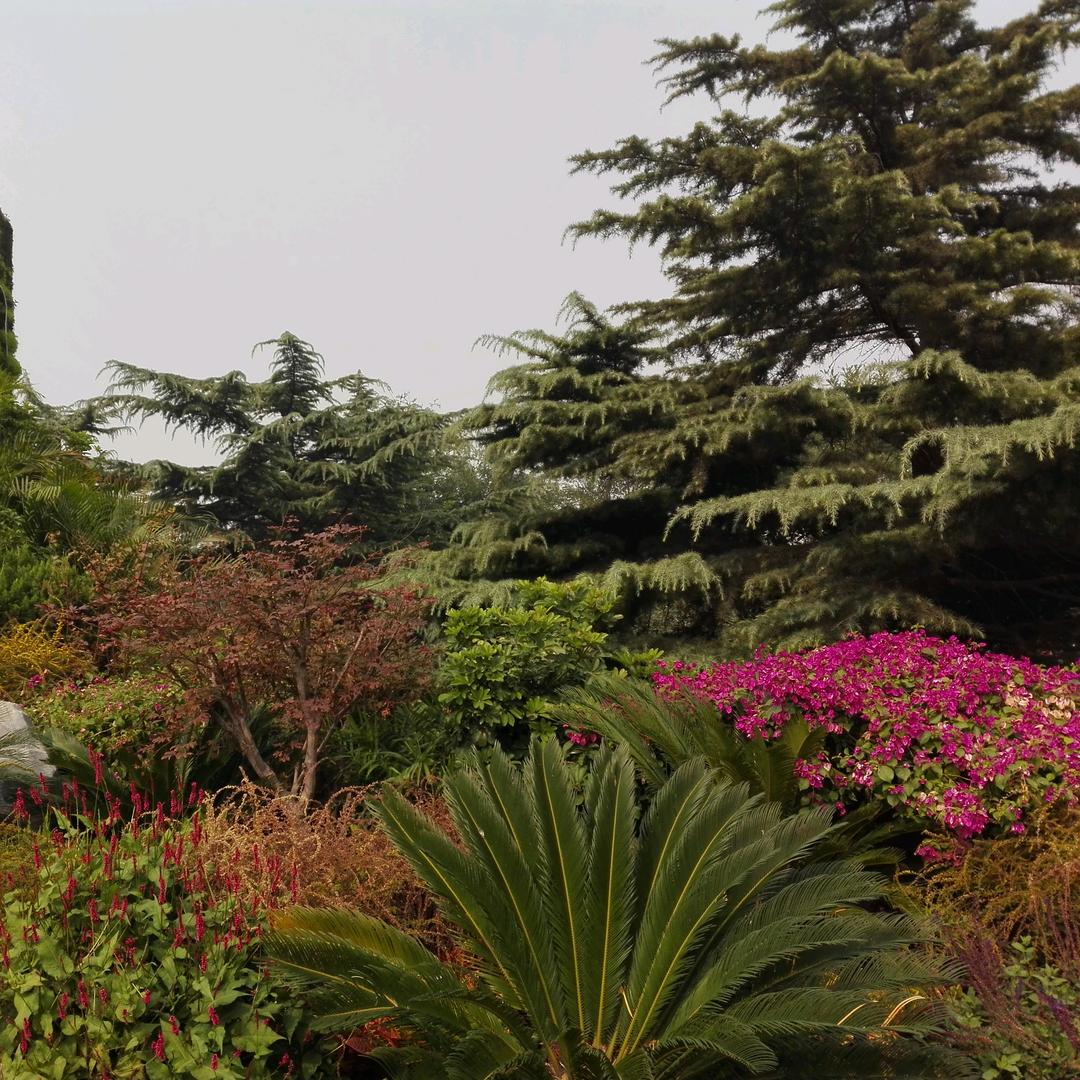 可可妹妹。🉑🉑💗💗