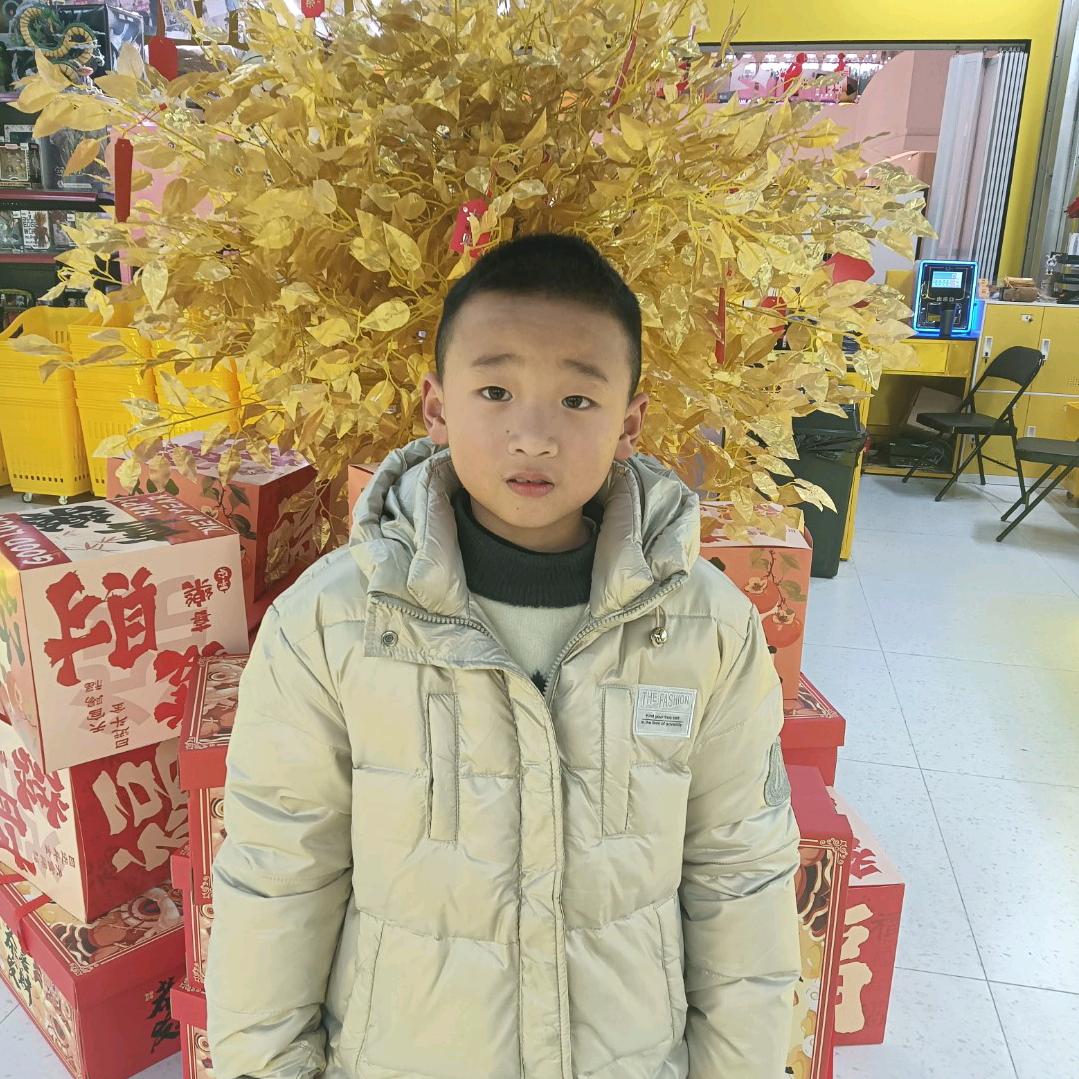 鸿运辉煌
