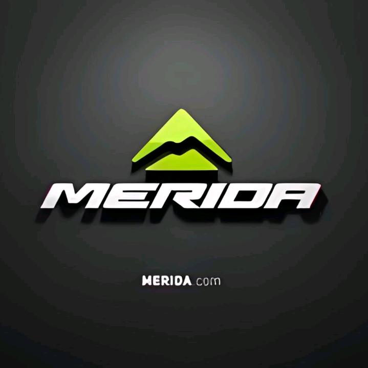 美利达自行车（南京路店）