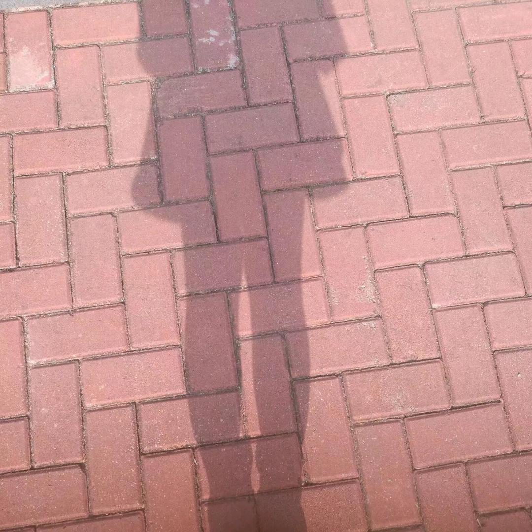 余生🍎安好