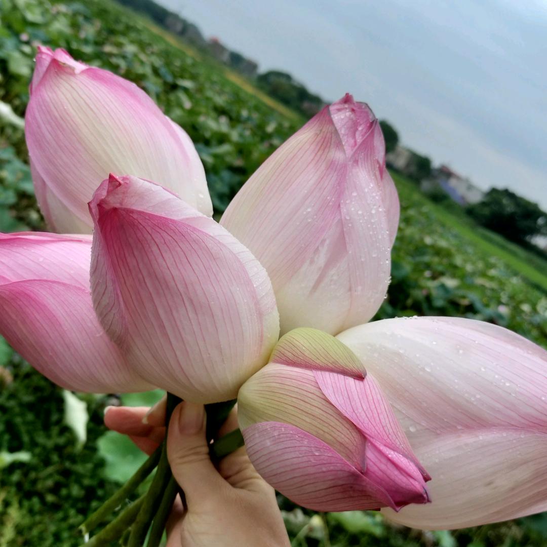 好好活着
