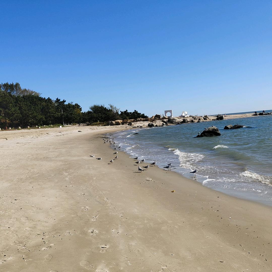 长春小涛卤猪蹄