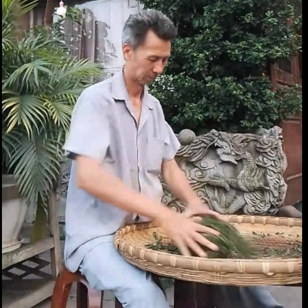 灵佬•篁碧茶