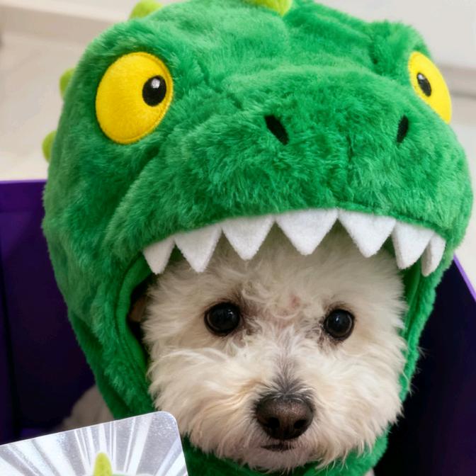 贪花恋酒李小白