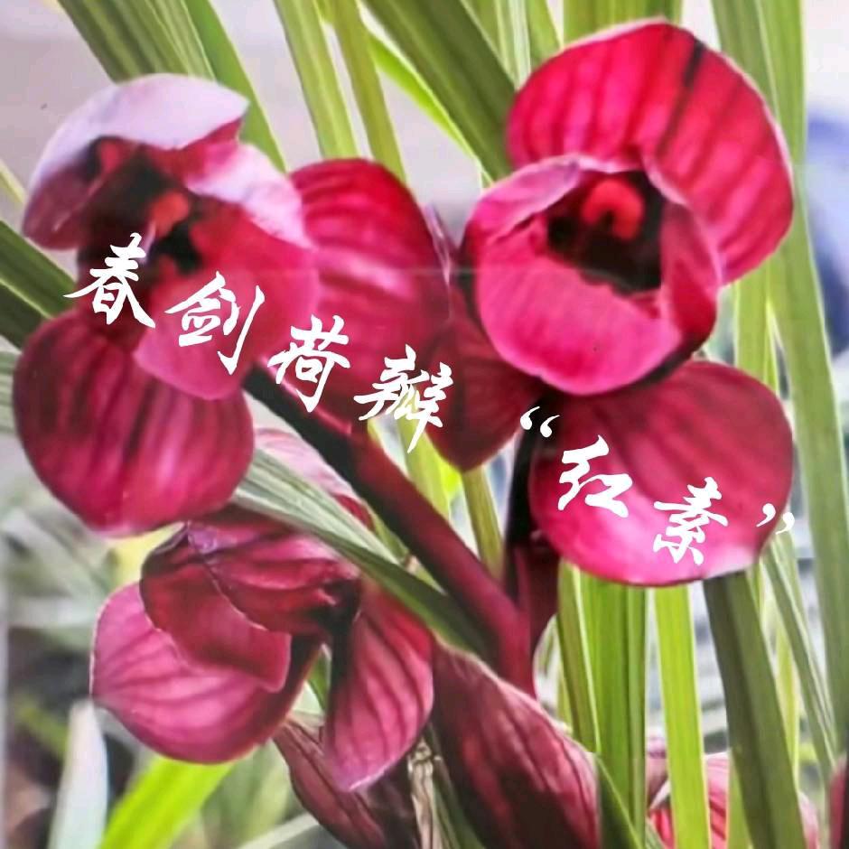 尤根草堂&