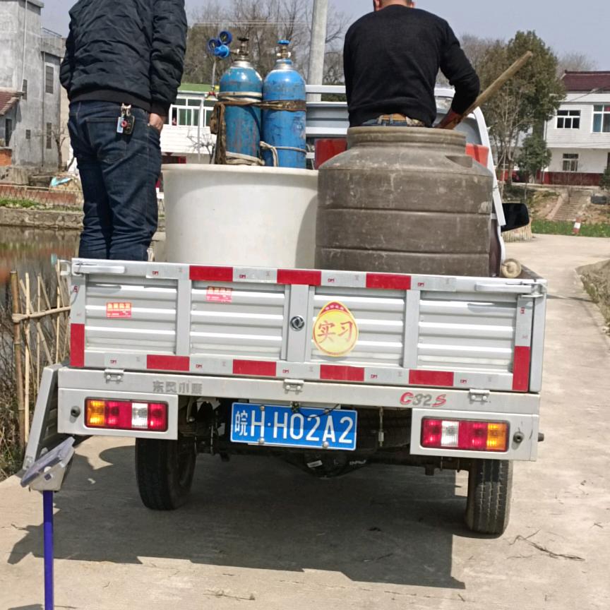 鱼苗养殖示范基地