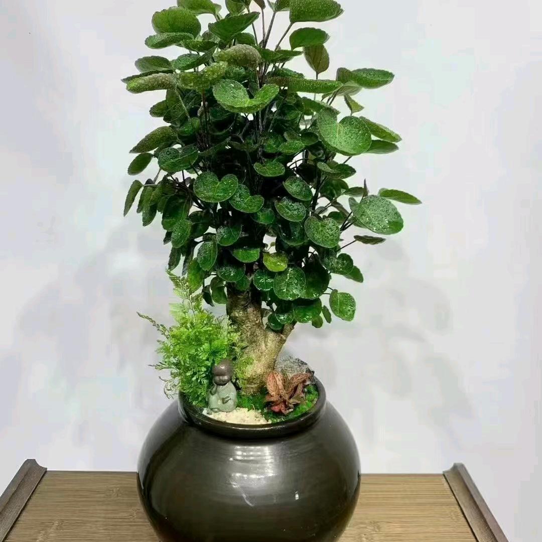 人生就是一场梦