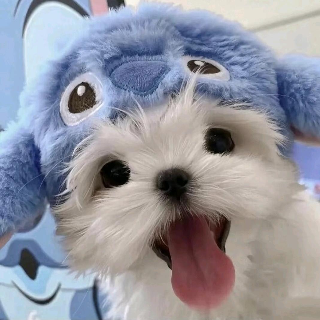 瑶᳐瑶᳐೨