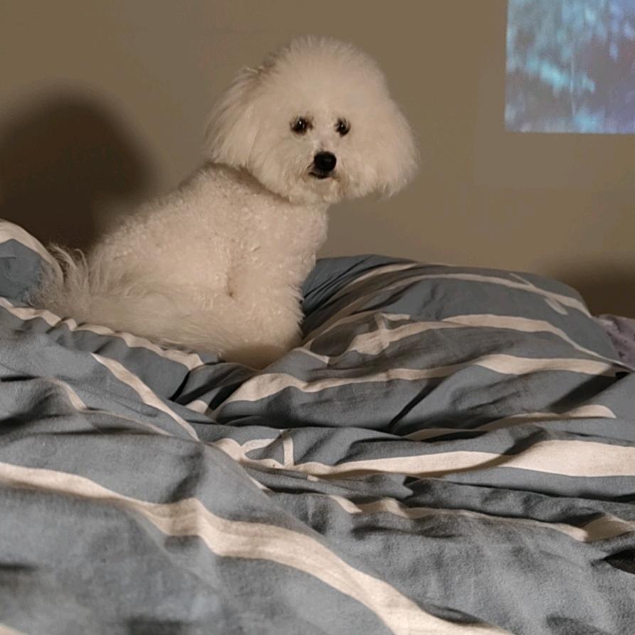 财哥