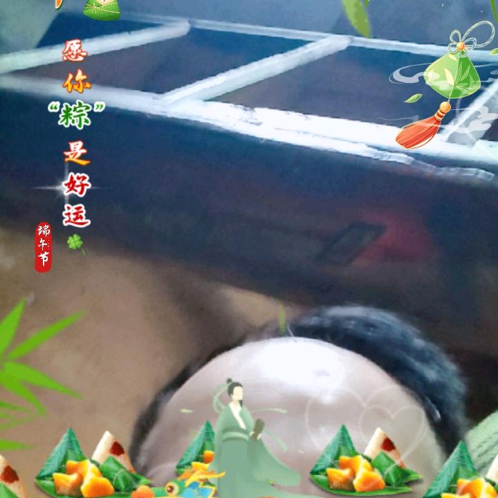 罗福会