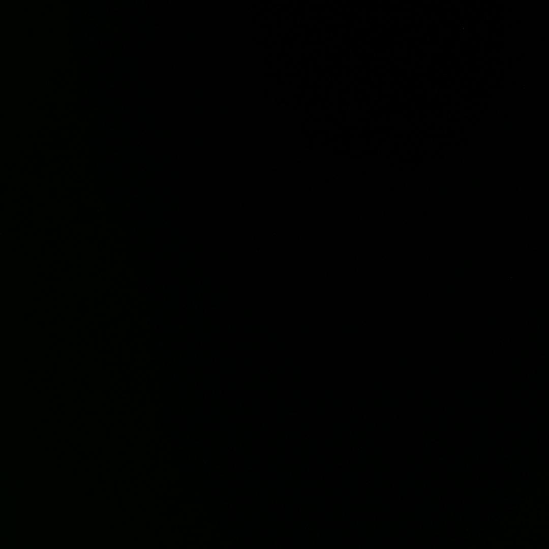 A666