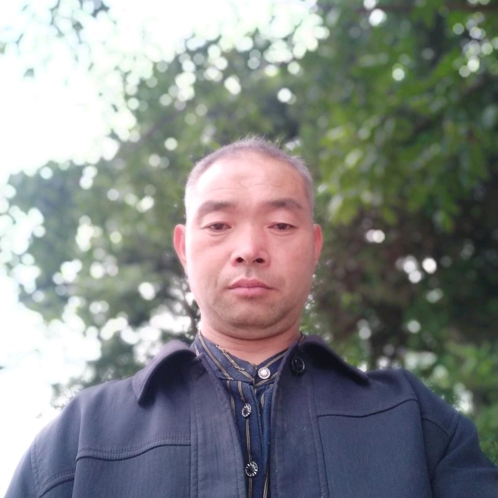 小二哥.