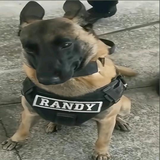 蒸蒸日上   　　　　　　　  　🪳