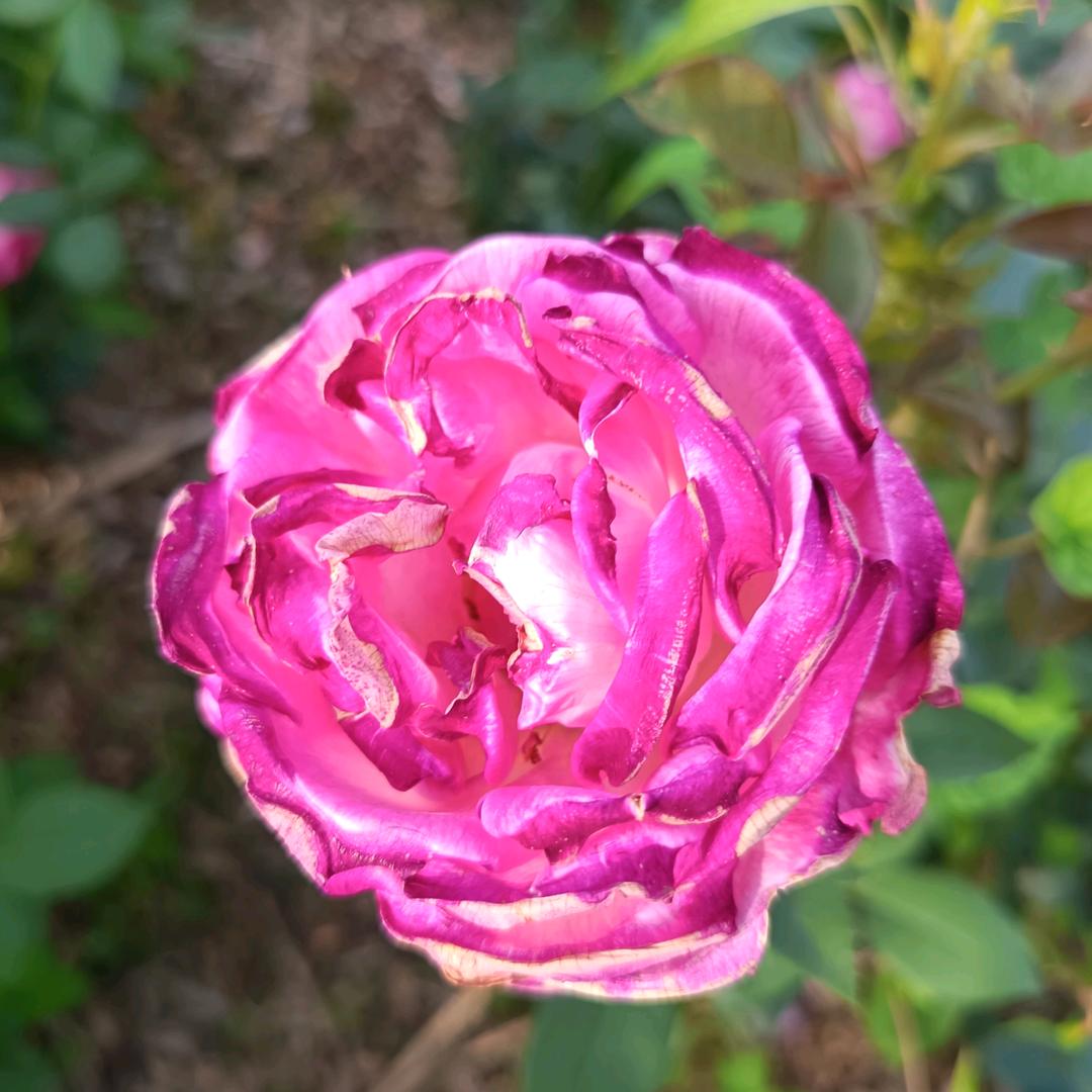 人生不如意十之八九