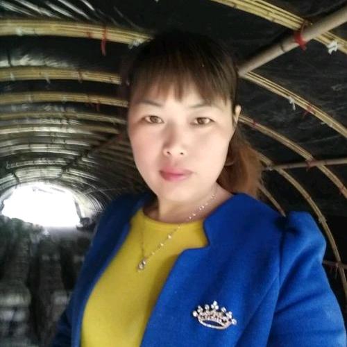杨艳
