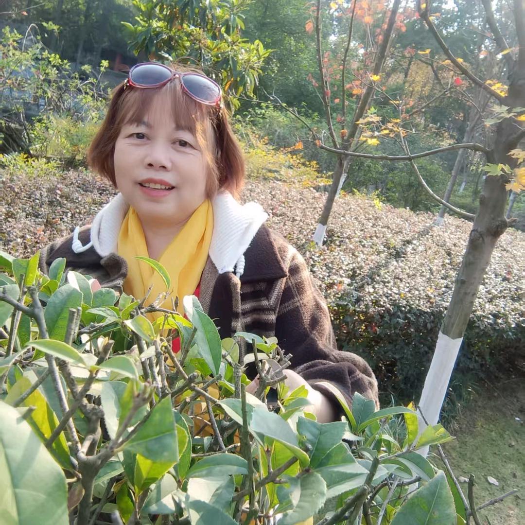 忘忧草