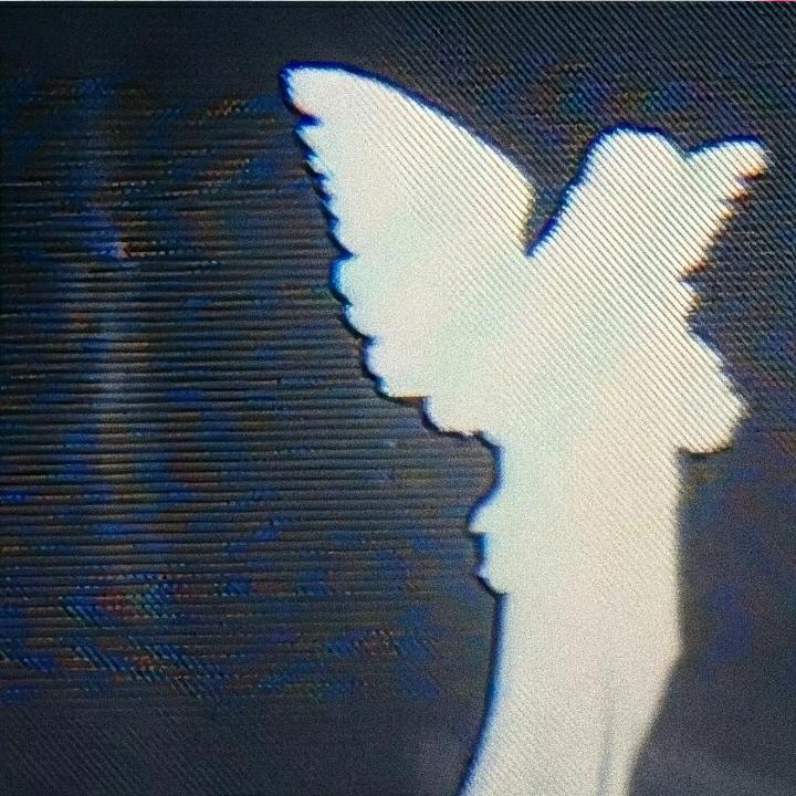 ~A1~
