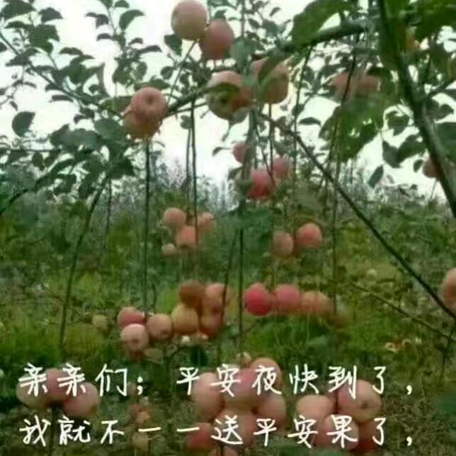 六零后的马
