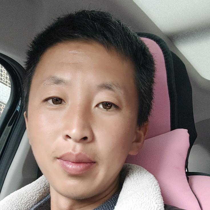 假山仿木    我是认真的