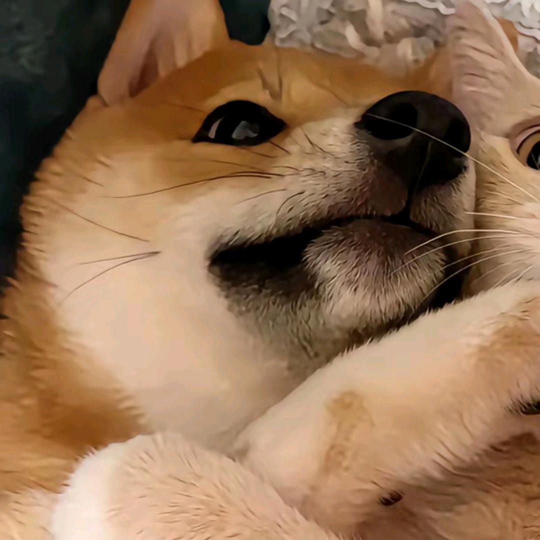 迷失的川