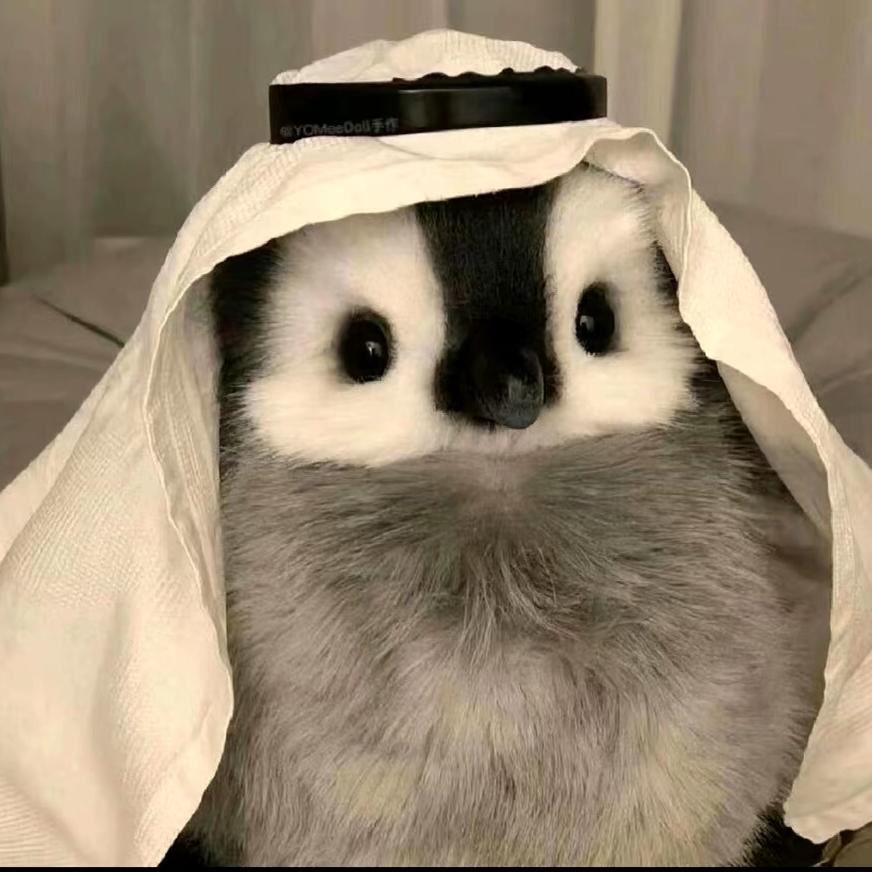 卷柏