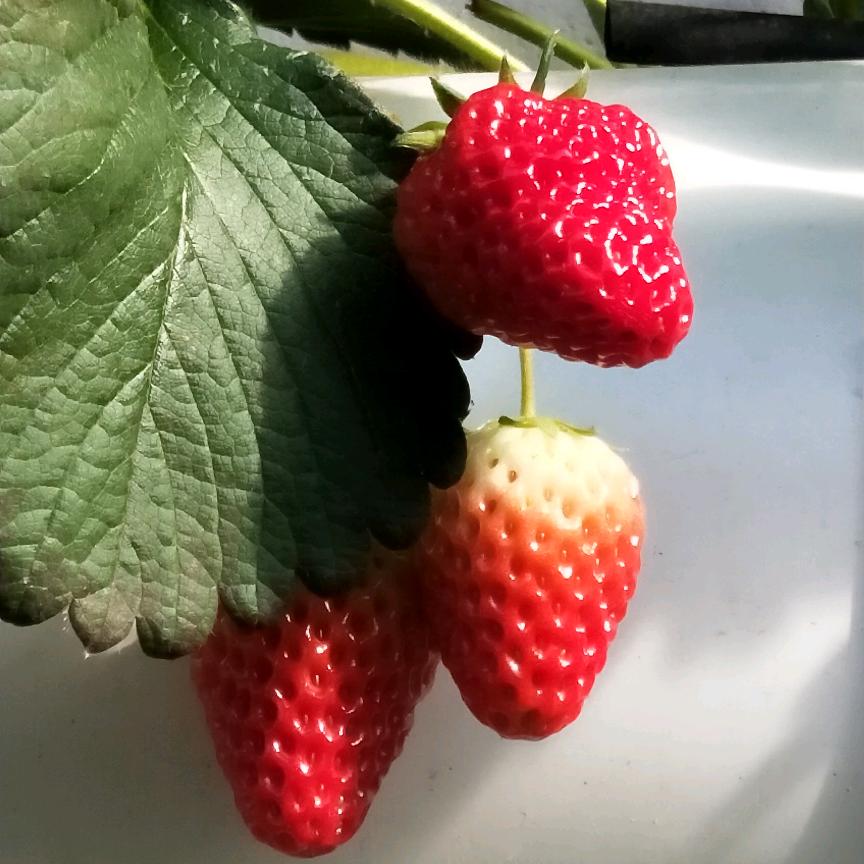 もうひとつの世界