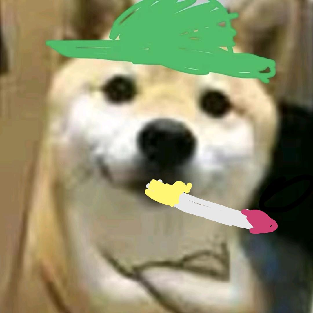 狗家军#马允立
