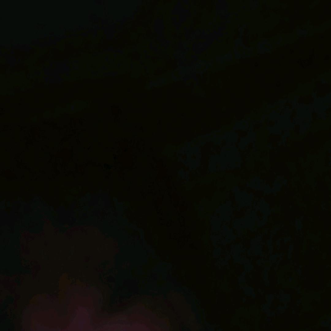 曾