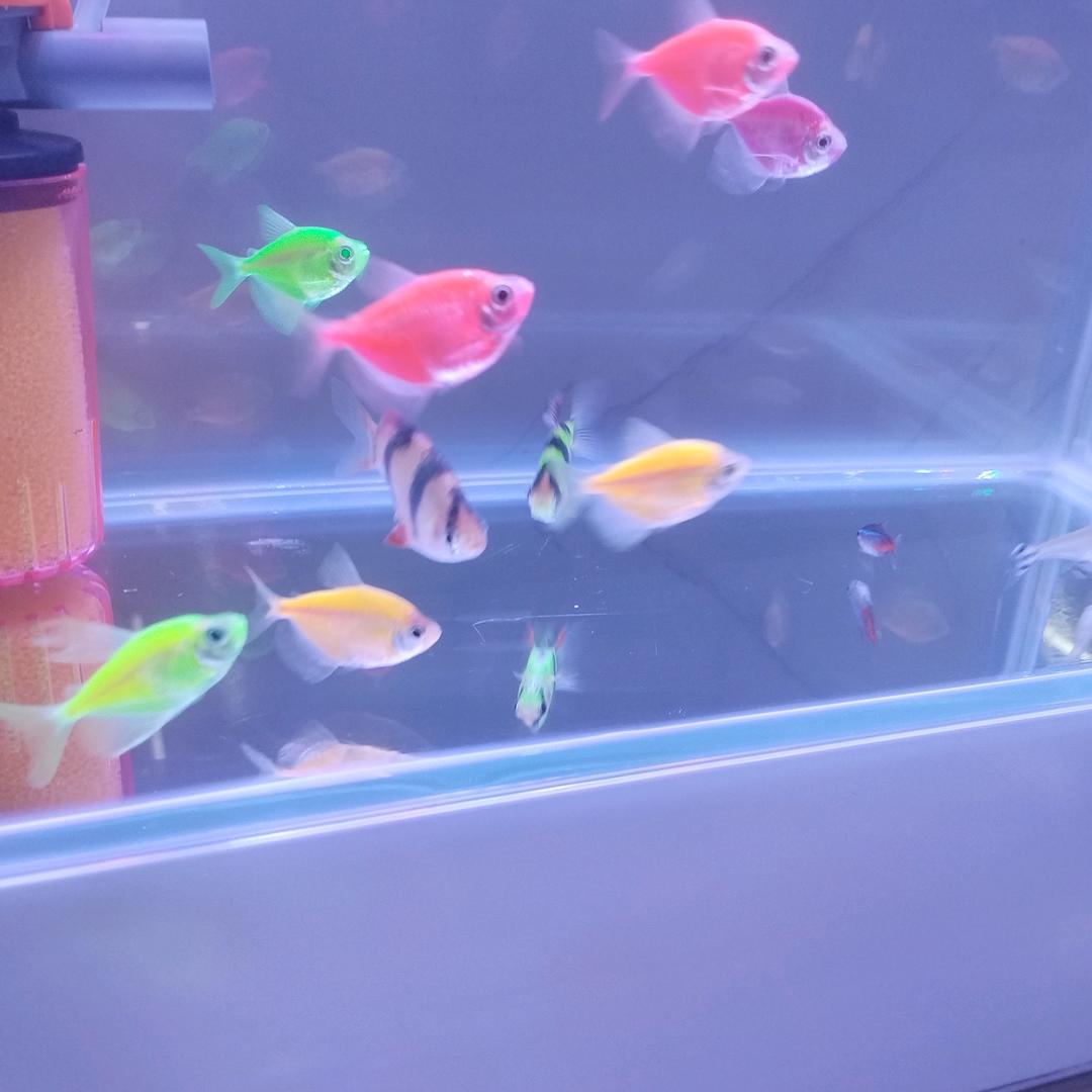 我