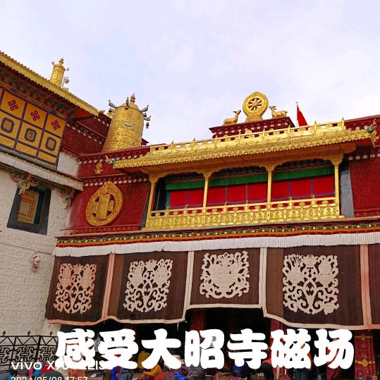 宁静致远TJ