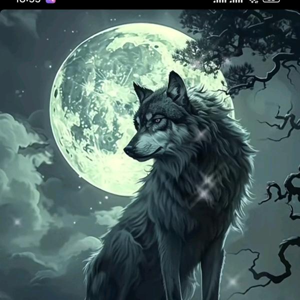 🇨🇳小老头🇨🇳