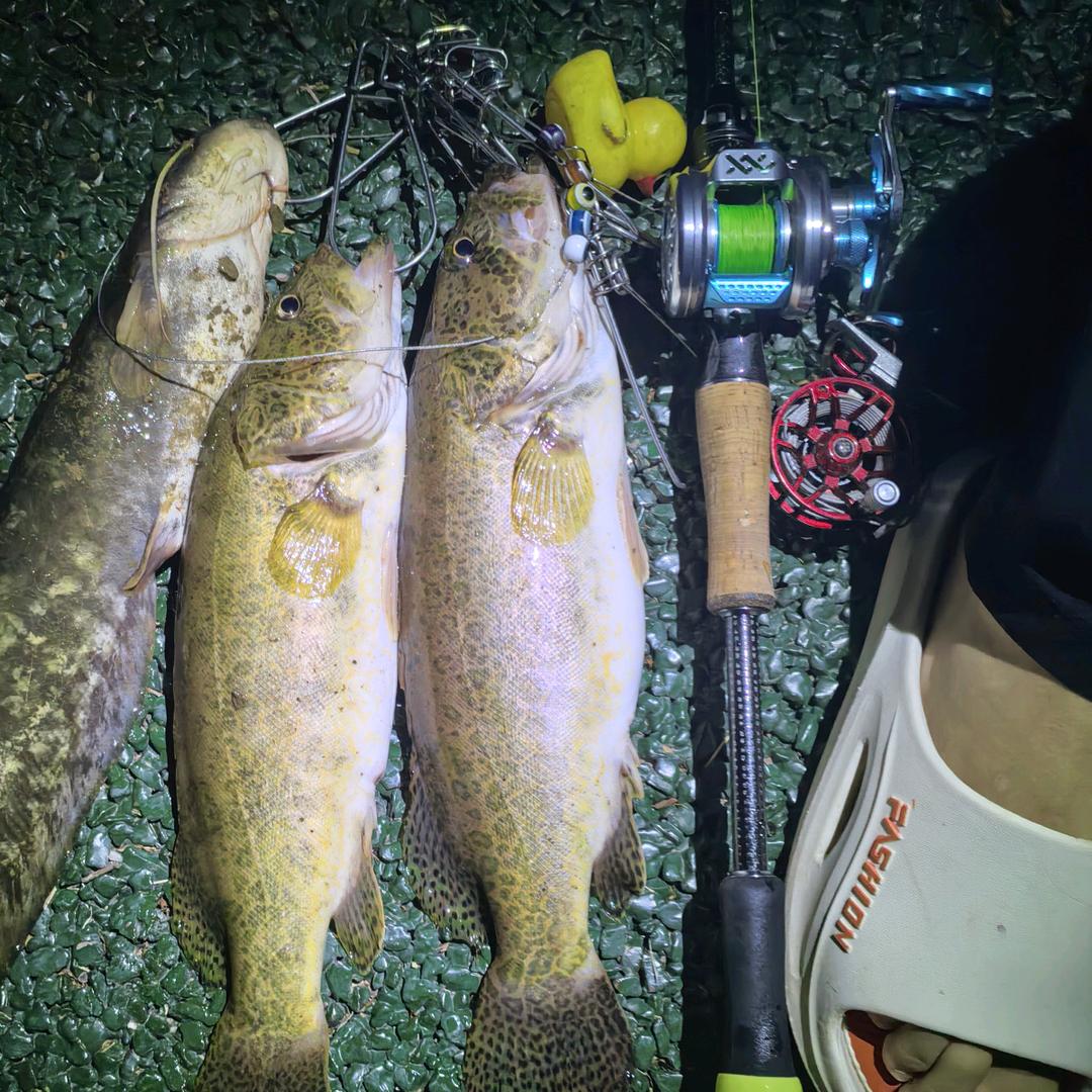 🚬逍遥🎣自在