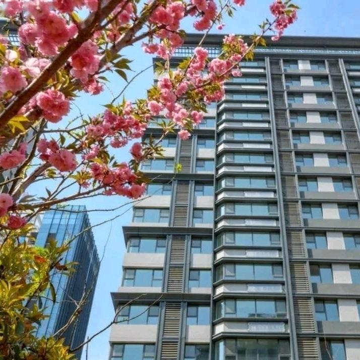 济南李主任～爱足球做金融【非居间】