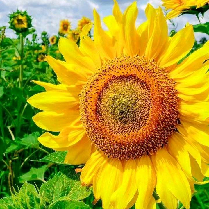 🌈꧁༺小幸运༻꧂🌈