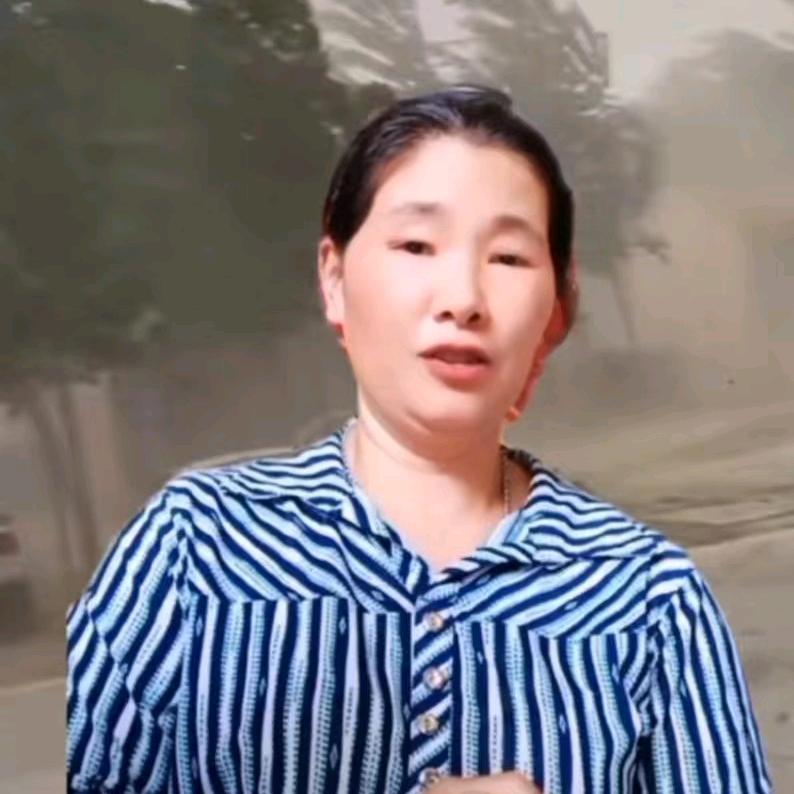 文琴