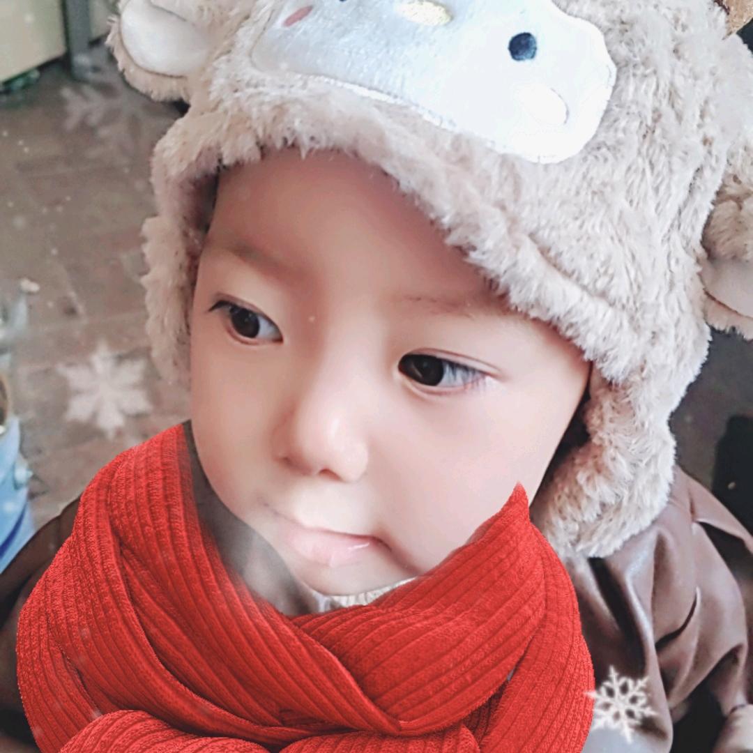 肉丸子卷帘子全国快递