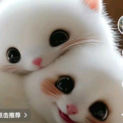 慫寶（破碎版）