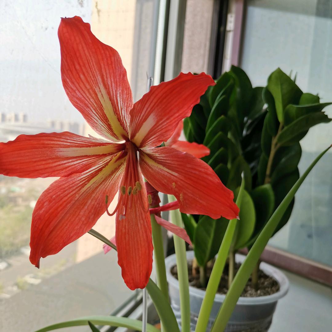 🩺当幸福来敲门Jas🍓 🎼