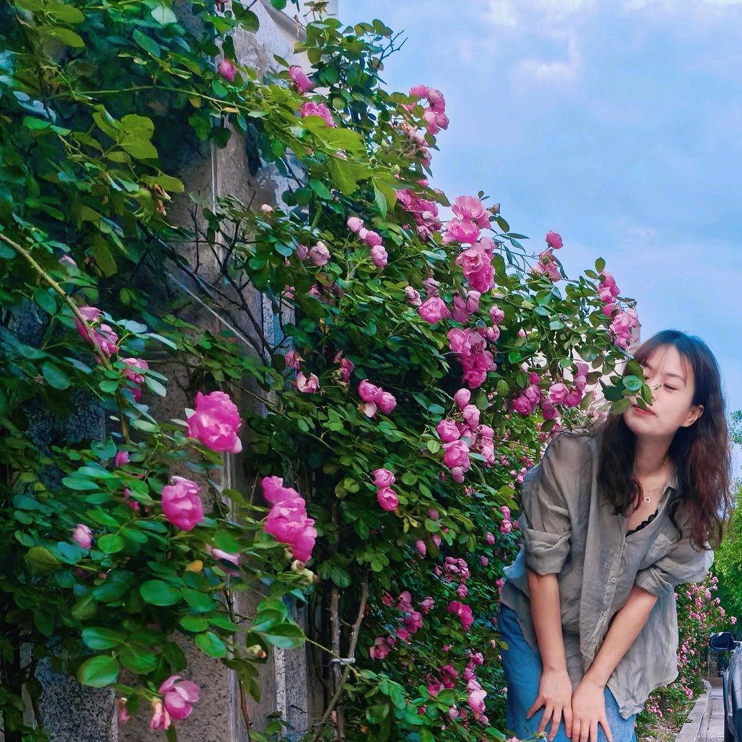 💗苗燕👠（拒绝私聊）