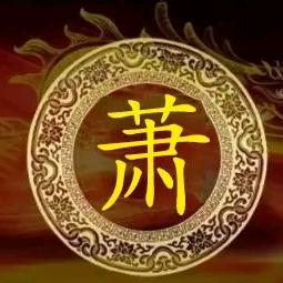 悟茶