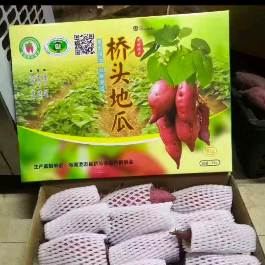 海南符氏澄迈农业果林