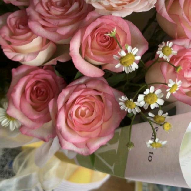 以善为本3065371611543