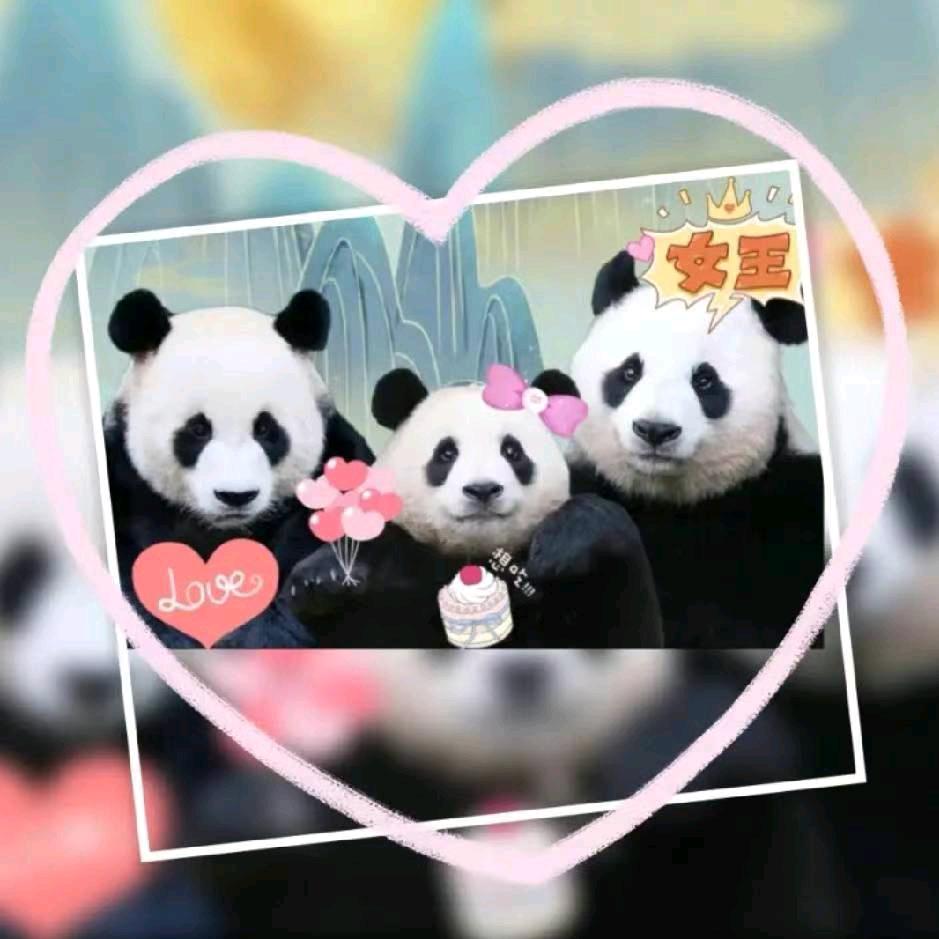 爱宝福宝乐宝😘😘😘