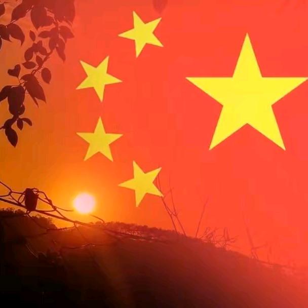 涛哥正能量